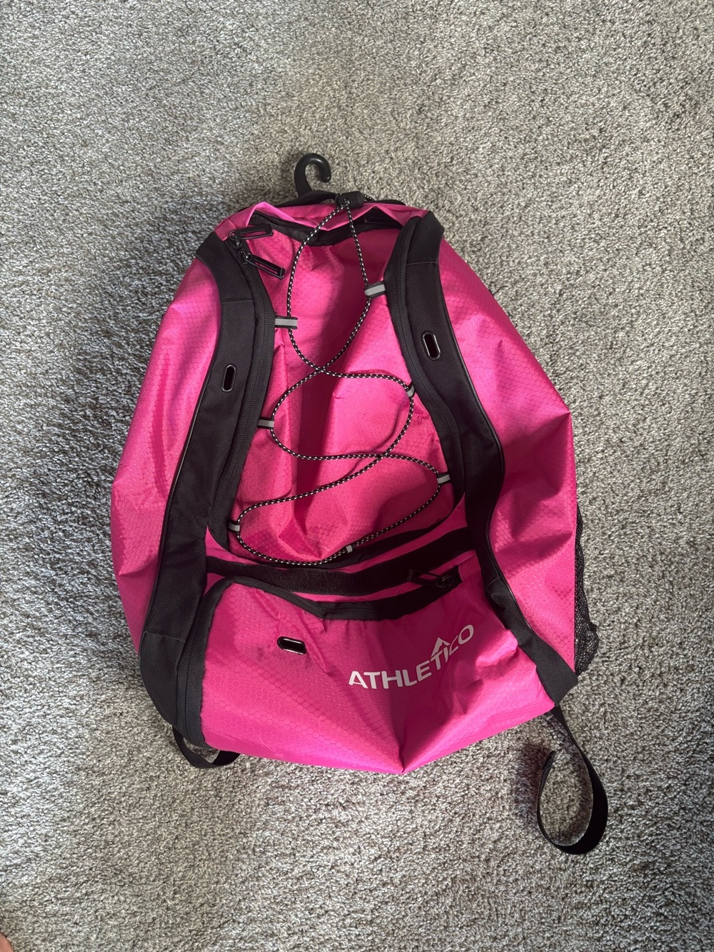 Softball bag